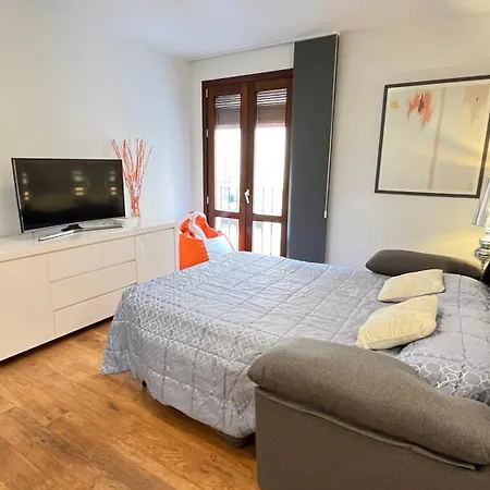 公寓 Centro De Con Parking Gratuito By El Conserje 德尼亚