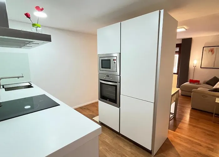 公寓 Centro De Con Parking Gratuito By El Conserje 德尼亚